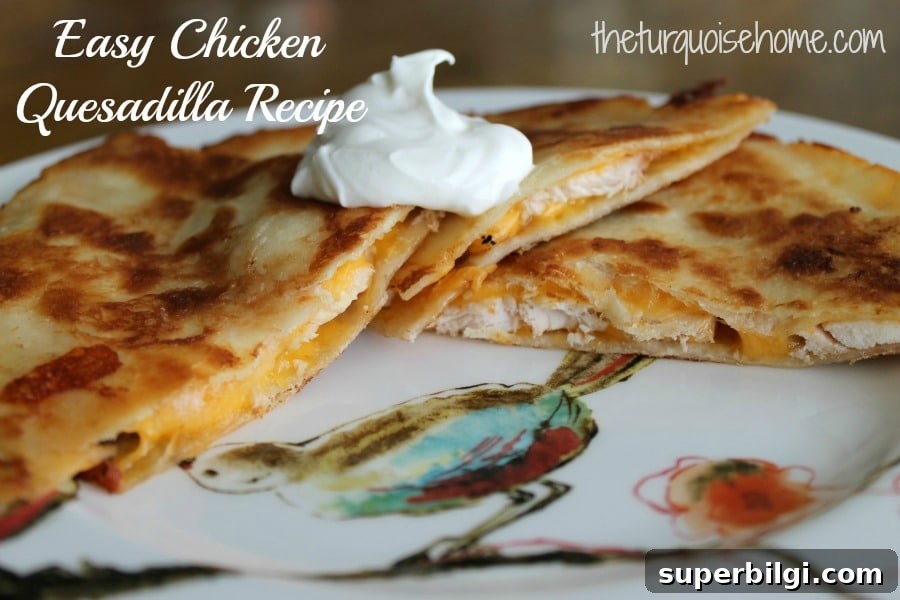 Chicken Quesadilla Recipe Featuring a Secret Ingredient 6 Finished chicken quesadilla