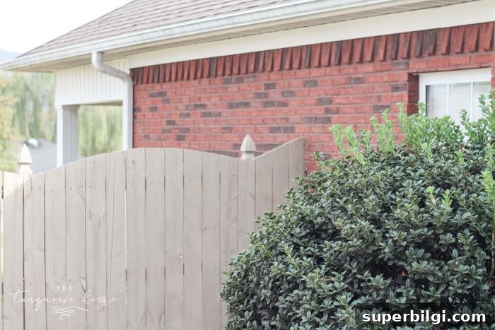 How to Paint a Wooden Fence Quickly: Step-by-Step Guide 12 This inexpensive paint sprayer is awesome!! How to Paint a Wood Fence the Easiest and Fastest Way! Take a minute to CLICK the link and access hundreds of other tutorials, tips and ideas for DIY home projects. This site is a MUST for any DIYer.