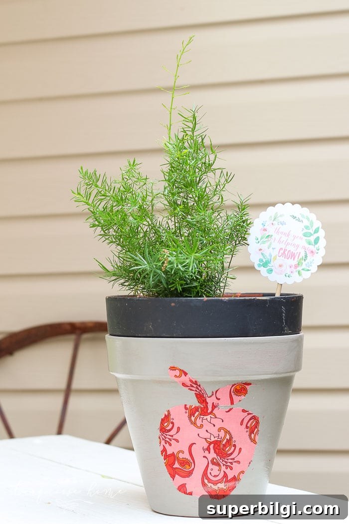 Teacher Gift Ideas: DIY Planters with Free Printable Tags 2 DIY planter with silhouette apple - teacher gift idea