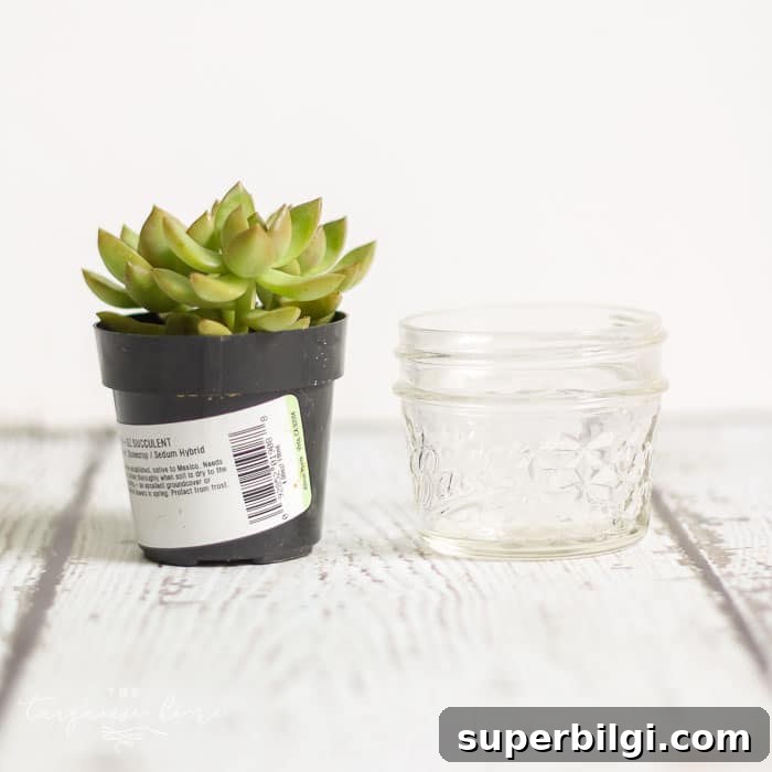 Teacher Gift Ideas: DIY Planters with Free Printable Tags 5 Mini succulent in a quilted mason jar, painted pink