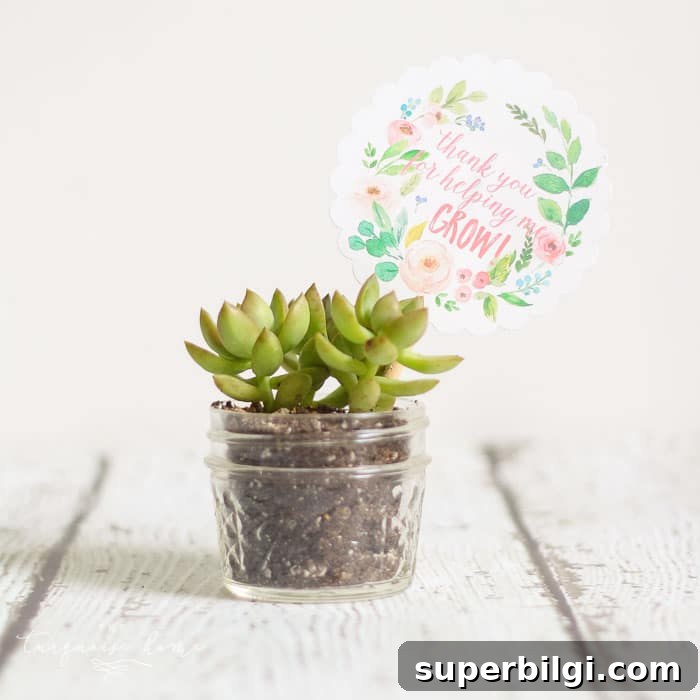Teacher Gift Ideas: DIY Planters with Free Printable Tags 6 Painted jar with succulent and printable tag