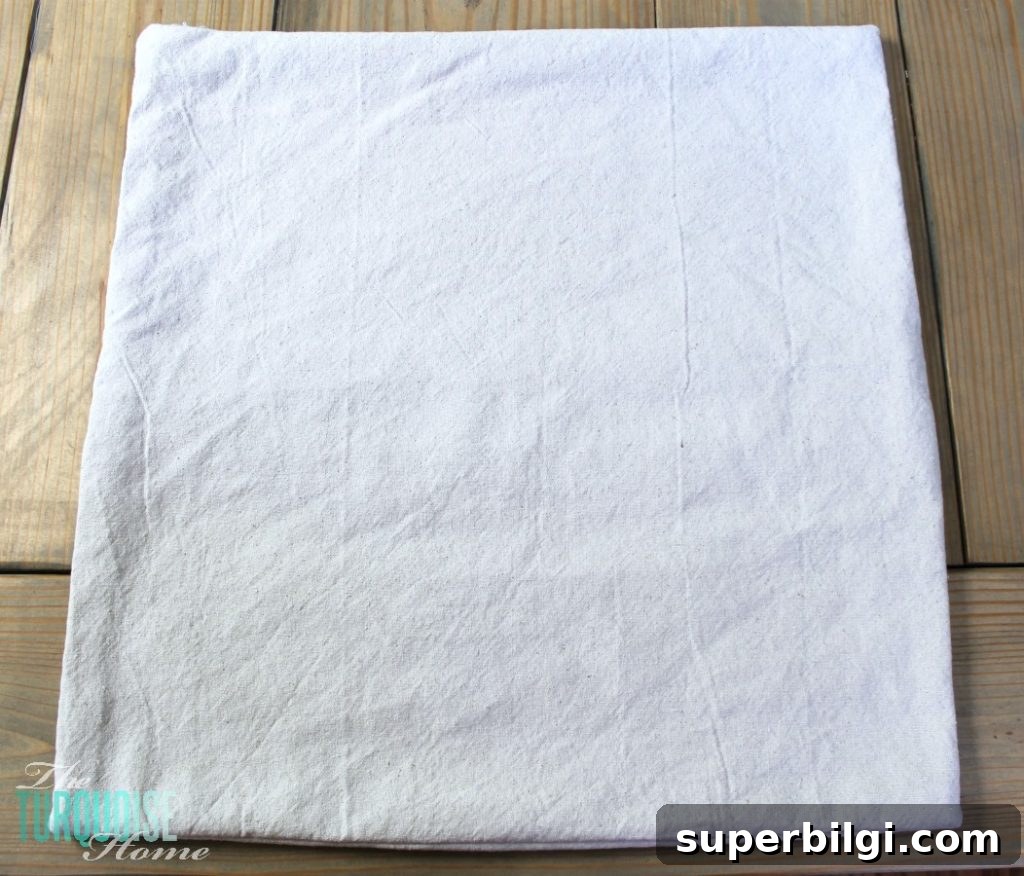 How to Stencil a Drop Cloth Pillow Cover 5 DIY Stenciled Drop Cloth Pillow #diy #dropcloth #silhouette