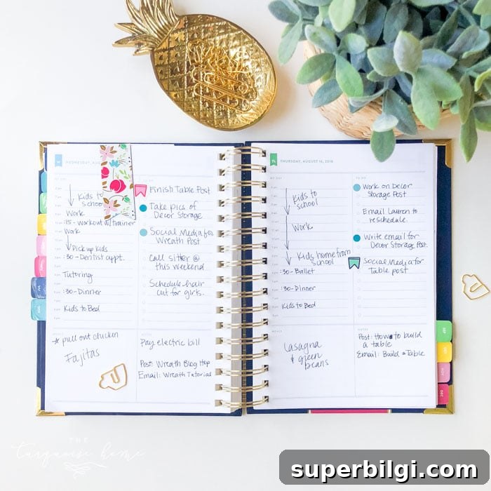 Daily Simplified Planner Review and My Time-Saving Planning Hack 7 How to use the Emily Ley Simplified Planner daily pages