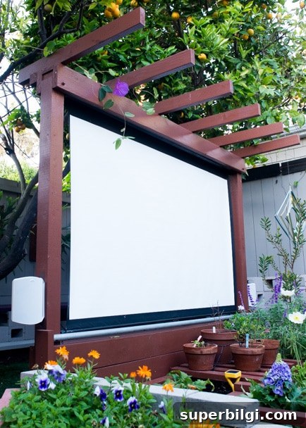Stunning and Practical Outdoor Living Space Designs 11 DIY outdoor movie theater in the garden