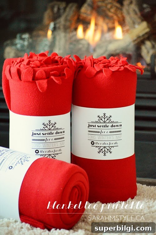 60+ DIY Christmas Gift Ideas for 2025 14 DIY Fleece Blanket with Printable Tag