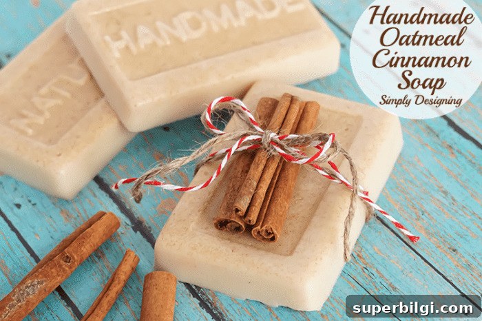 60+ DIY Christmas Gift Ideas for 2025 38 Homemade Oatmeal Cinnamon Soap