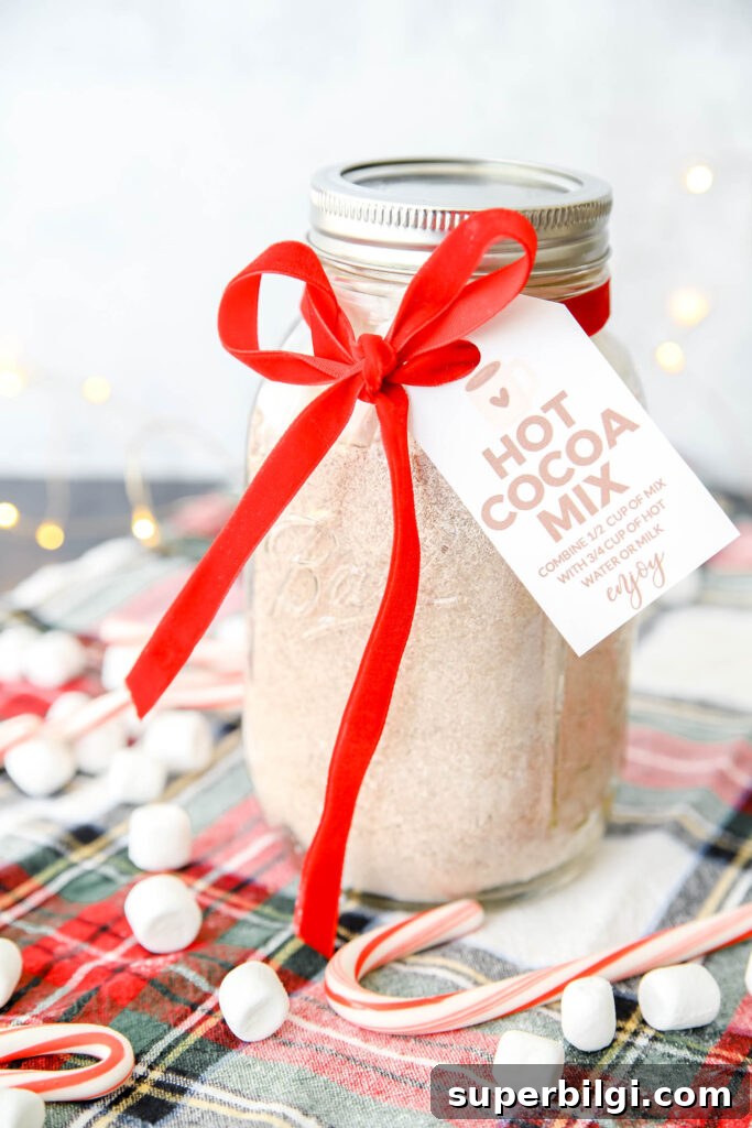 60+ DIY Christmas Gift Ideas for 2025 50 Hot Chocolate Mix Gift
