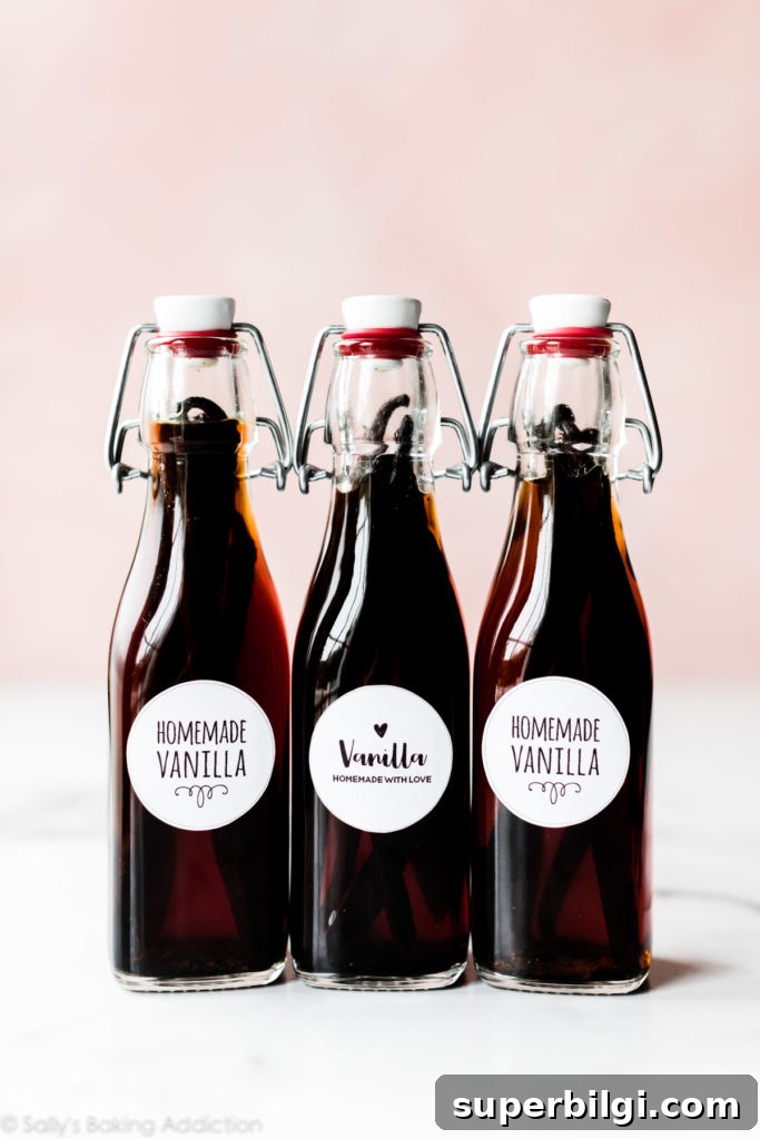 60+ DIY Christmas Gift Ideas for 2025 51 Homemade Vanilla