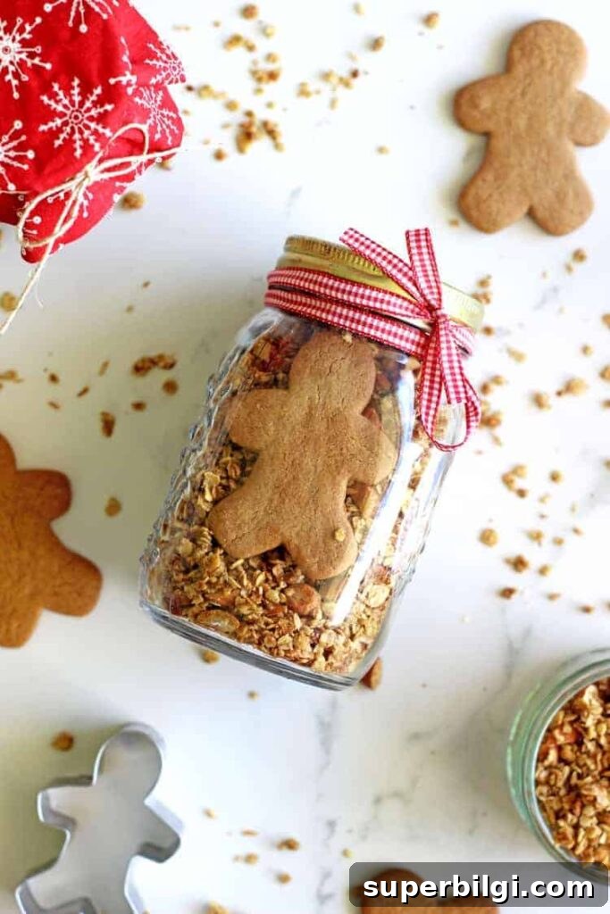 60+ DIY Christmas Gift Ideas for 2025 52 homemade gingerbread granola