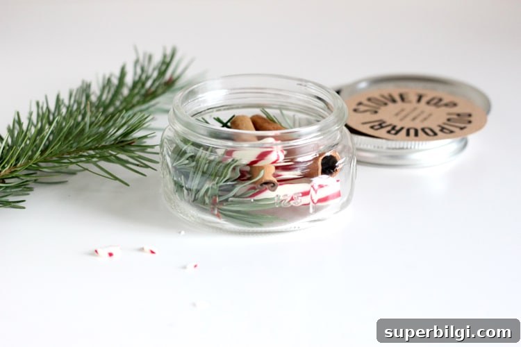 60+ DIY Christmas Gift Ideas for 2025 55 Stovetop Potpourri