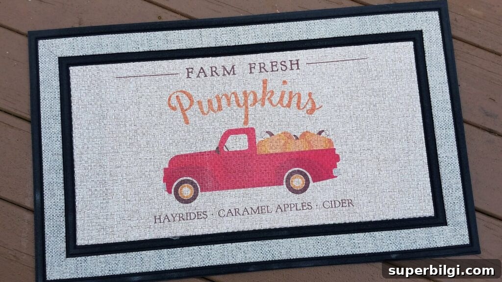 Fall Doormats You'll Love: Create a Layered Entryway 7 img 27180 13