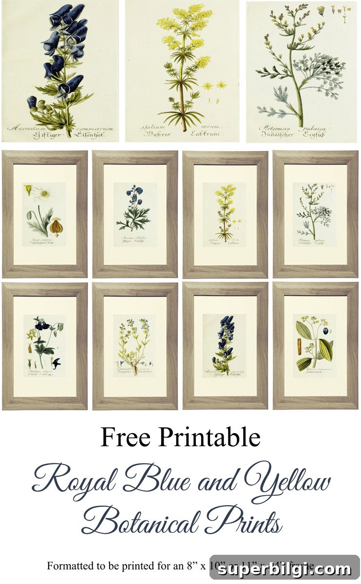 Download Free Vintage Botanical Prints 7 Royal Blue and Yellow Free Botanical Prints