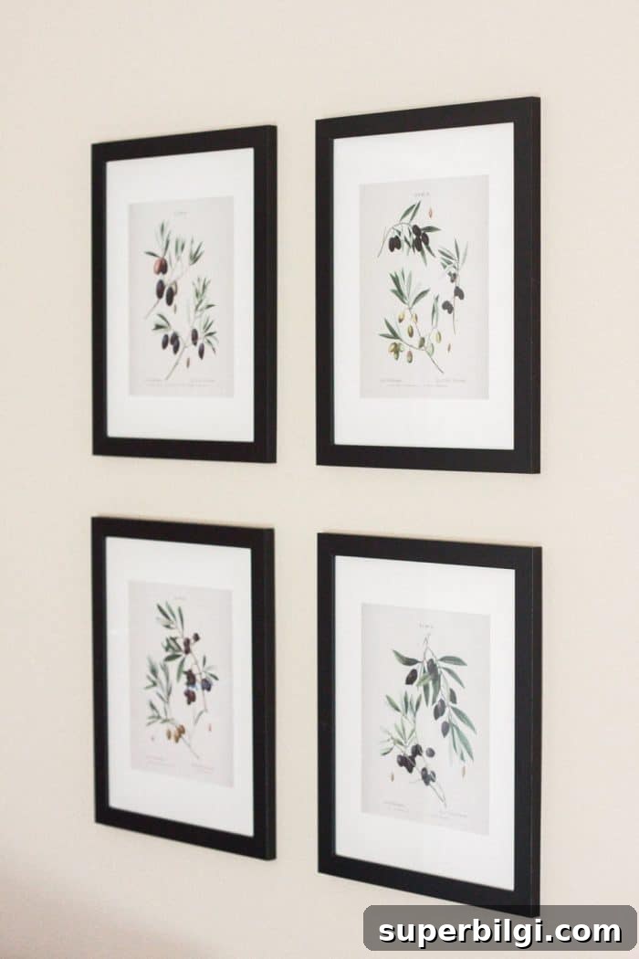 Download Free Vintage Botanical Prints 8 Olive Gallery Botanical Prints