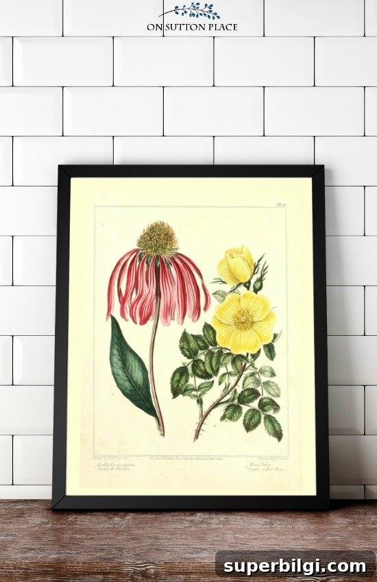 Download Free Vintage Botanical Prints 4 Ann at On Sutton Place offers gorgeous free printables