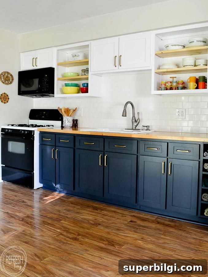 DIY Kitchen Cabinet Makeovers on a Budget 6 Remodel Kitchen on a Budget by Replacing the Door and Painting them with Alkyd Paint