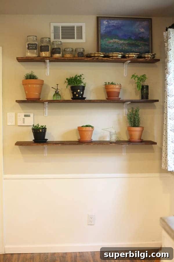Affordable DIY Shelving Ideas for Small Spaces and Storage 6 Herb Wall Kitchen Shelves