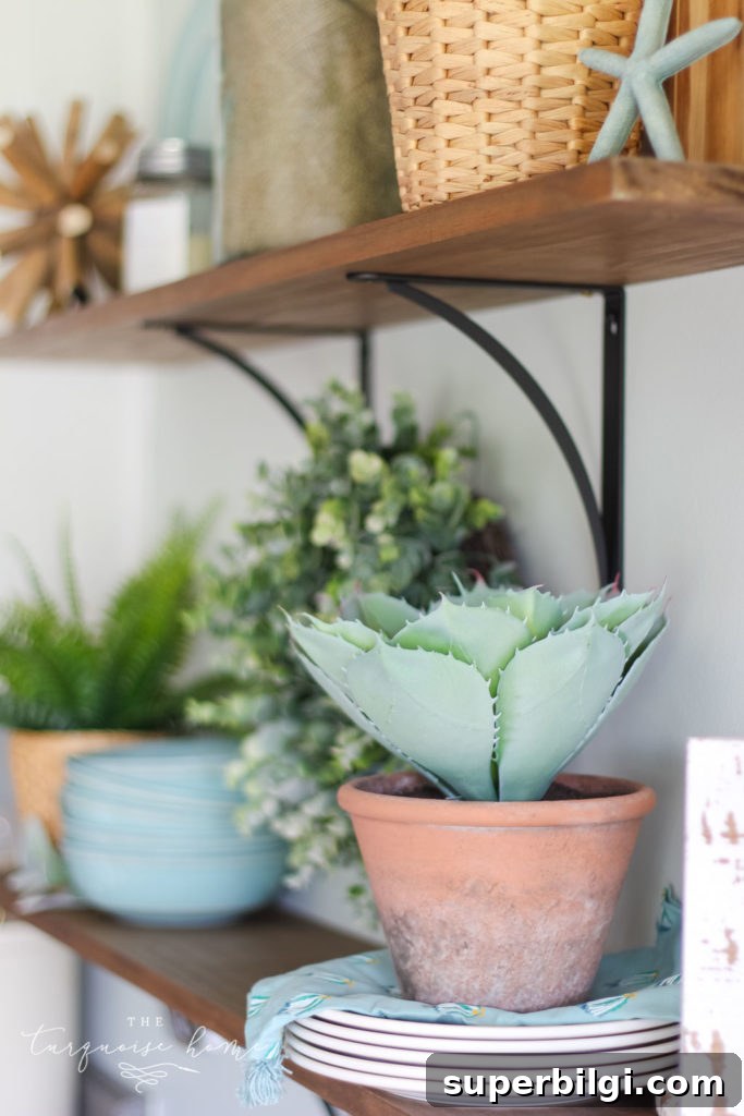 Peach-Inspired Summer Kitchen Decor 2 A Simple Peachy Summer Kitchen - terra cotta pot with cactus
