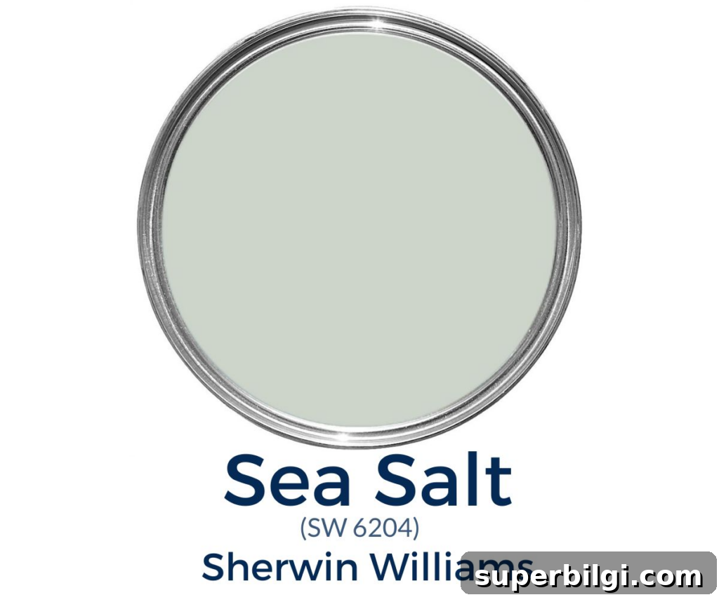 Sherwin-Williams Sea Salt SW 6204 Paint Color Guide 2 Sea Salt by Sherwin Williams