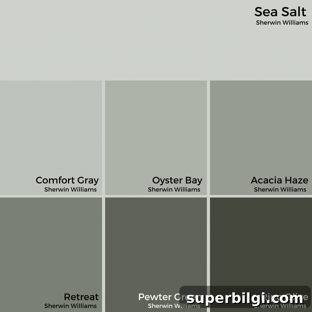 Sherwin-Williams Sea Salt SW 6204 Paint Color Guide 4 Sea Salt Paint Color Strip