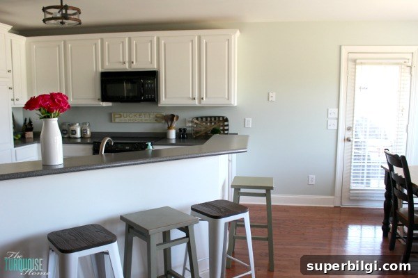 Sherwin-Williams Sea Salt SW 6204 Paint Color Guide 5 Sherwin Williams Sea Salt