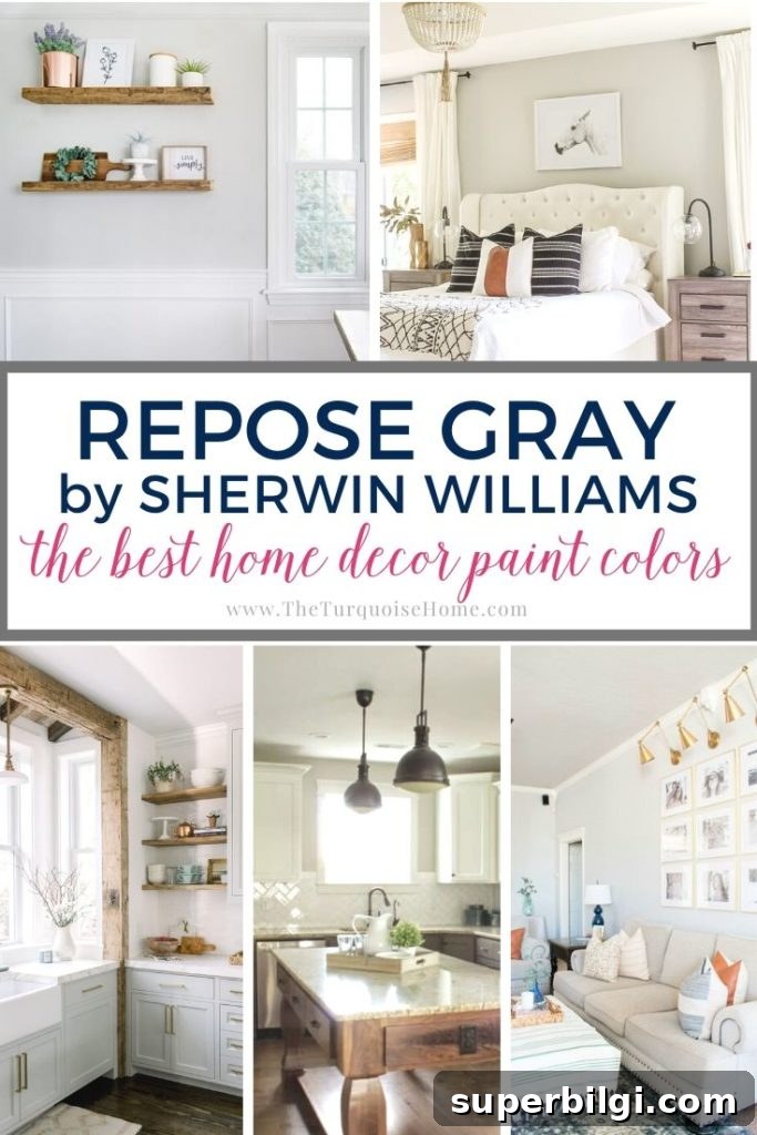 Sherwin-Williams Repose Gray: Color Guide and Pairings 2 Repose Gray by Sherwin Williams is one of the most popular gray colors - and for good reason. It looks good in almost any room!