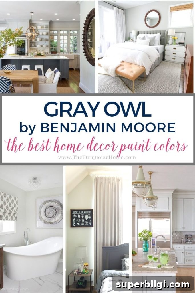 Benjamin Moore Gray Owl Paint: Swatch, Undertones & Room Ideas 2 Gray Owl by Benjamin Moore