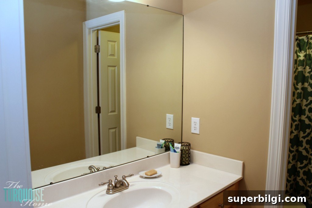 Oyster Pearl Paint Color by Clark and Kensington 3 Builder's Beige Guest Bathroom