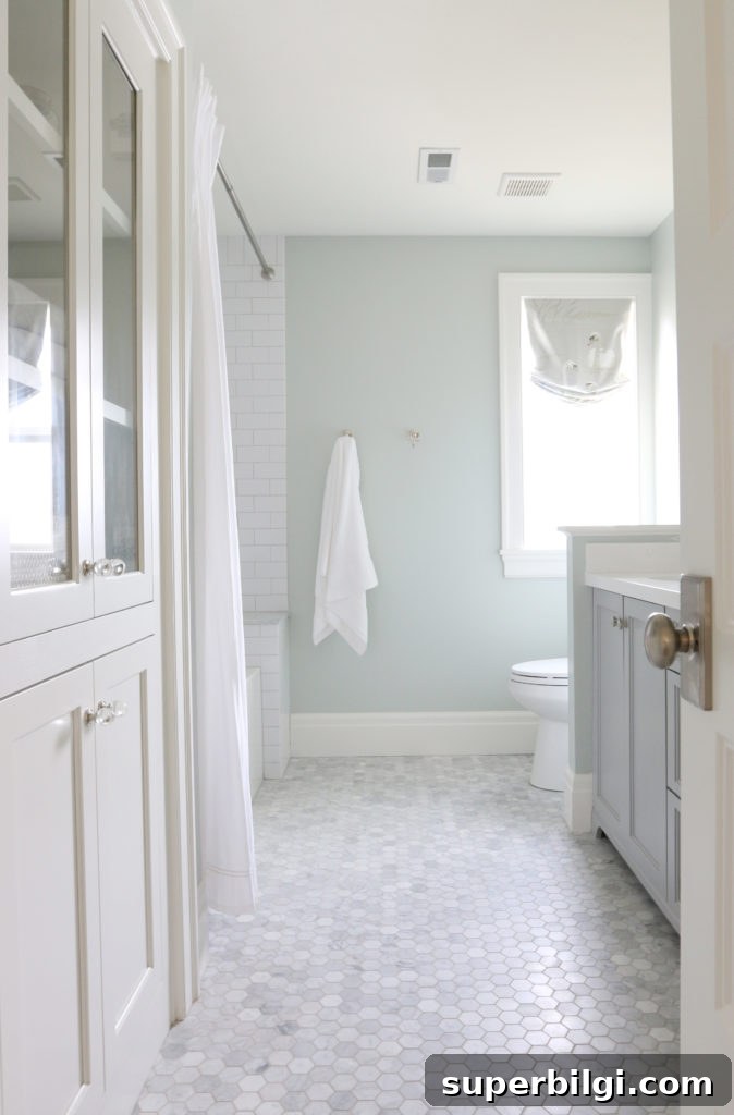 Readers' Favorite Posts of 2019 6 Sea Salt by Sherwin Williams is a gorgeous green/gray/blue color perfect for a master bathroom!