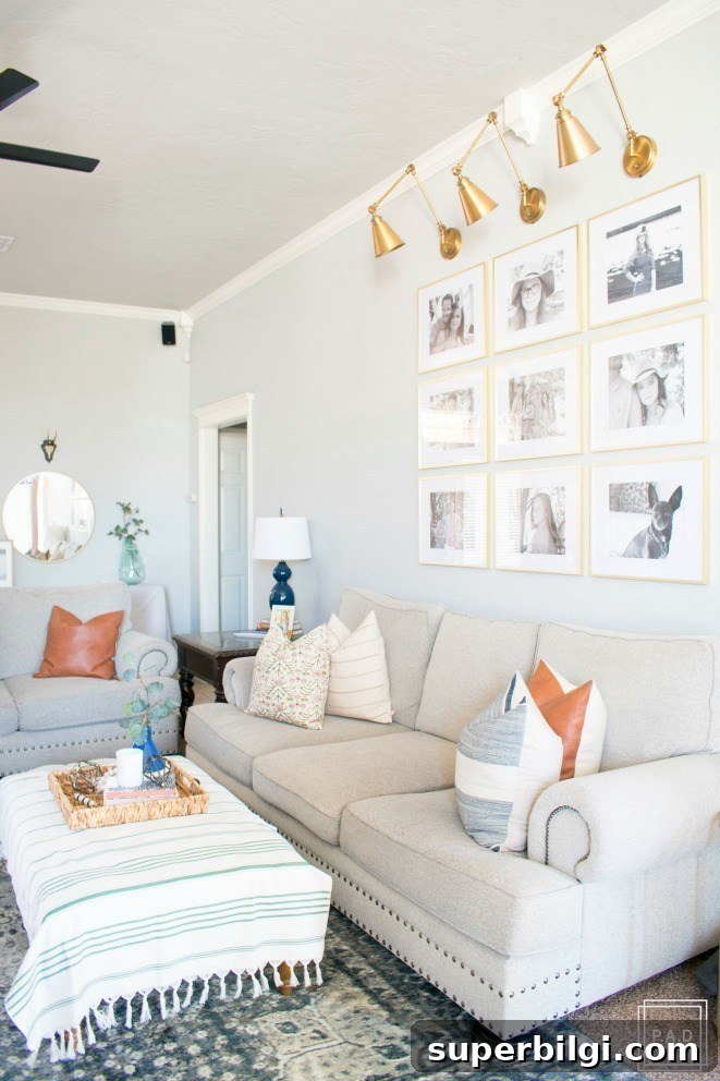 2025 Living Room Paint Color Trends 10 Repose Gray in a Living Room