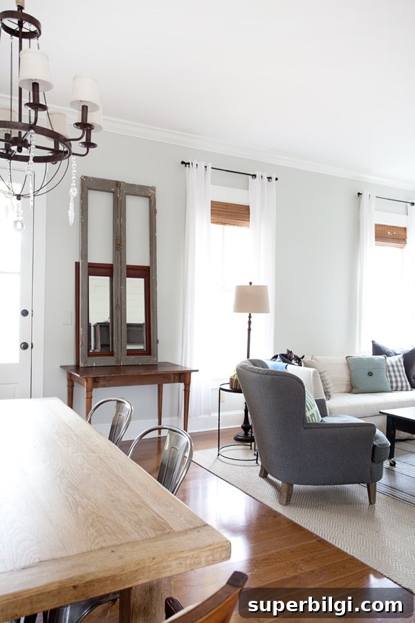 2025 Living Room Paint Color Trends 8 Gray Owl living room