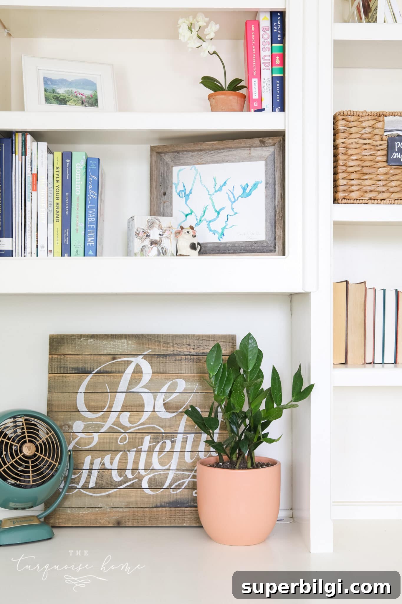 3 Low-Maintenance Houseplants for Beginners and Indoor Care Tips 5 ZZ plant on office shelves