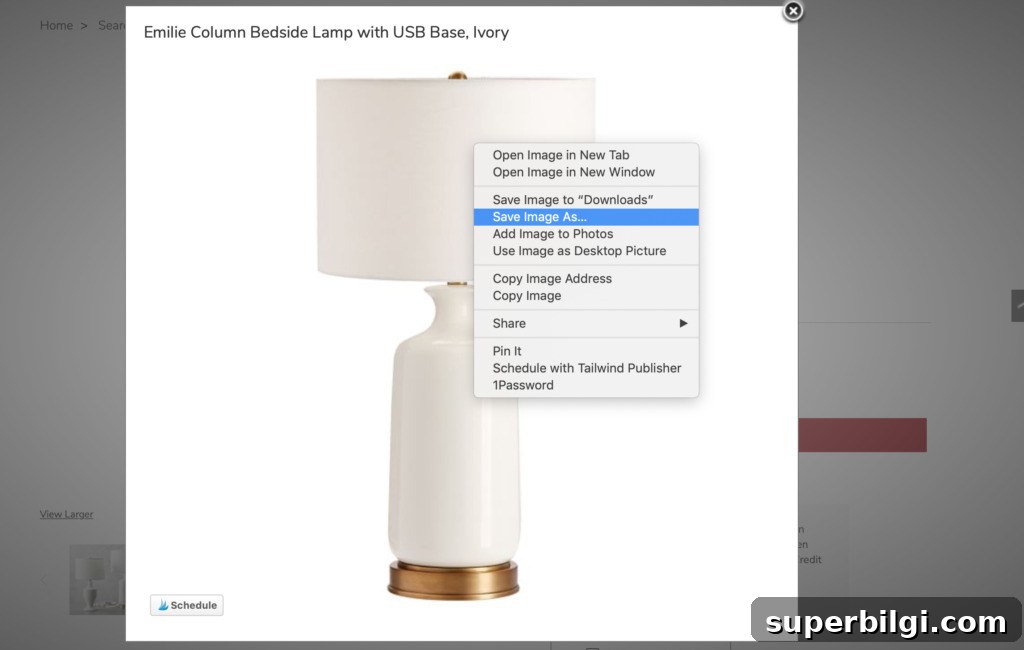 How to save design element images for a design mood board