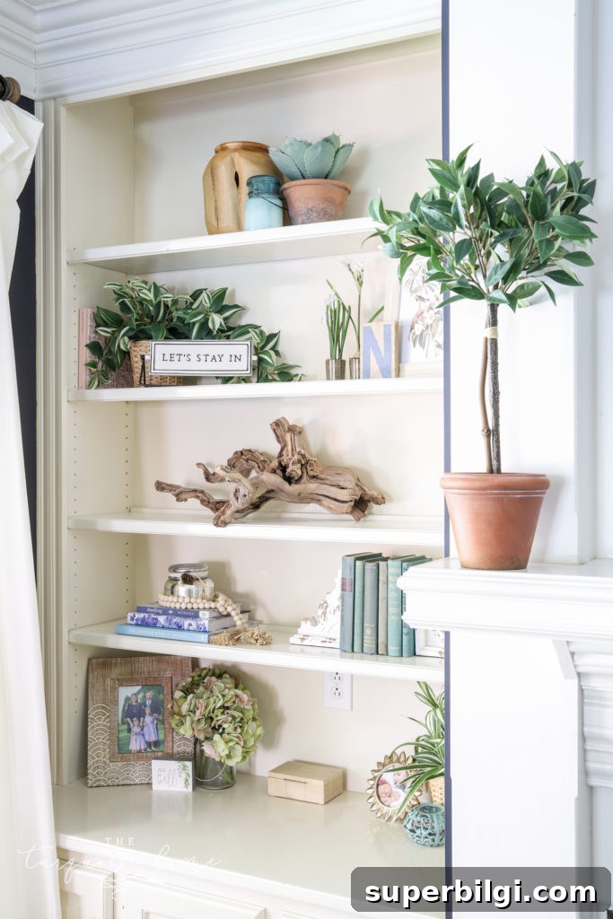 Built-in Bookshelves