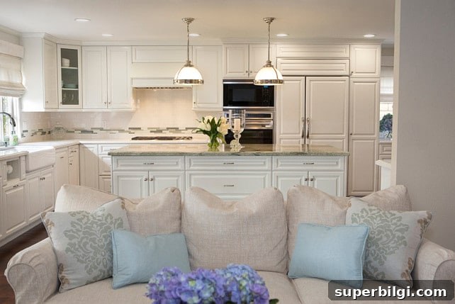 Benjamin Moore Swiss Coffee Paint: Shade, Uses and Pairings 7 traditional kitchen with Benjamin Moore Swiss Coffee cabinets