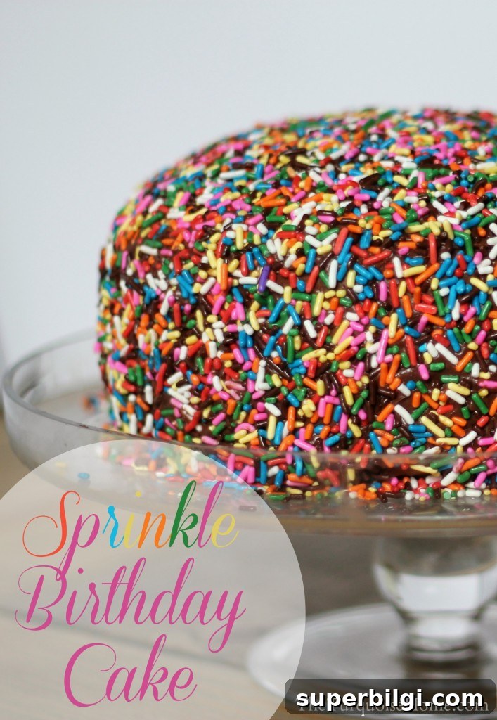 Sprinkle-Themed Birthday Party: Ideas, Decor and Checklist 3 Sprinkle Birthday Cake #sprinkles #birthday