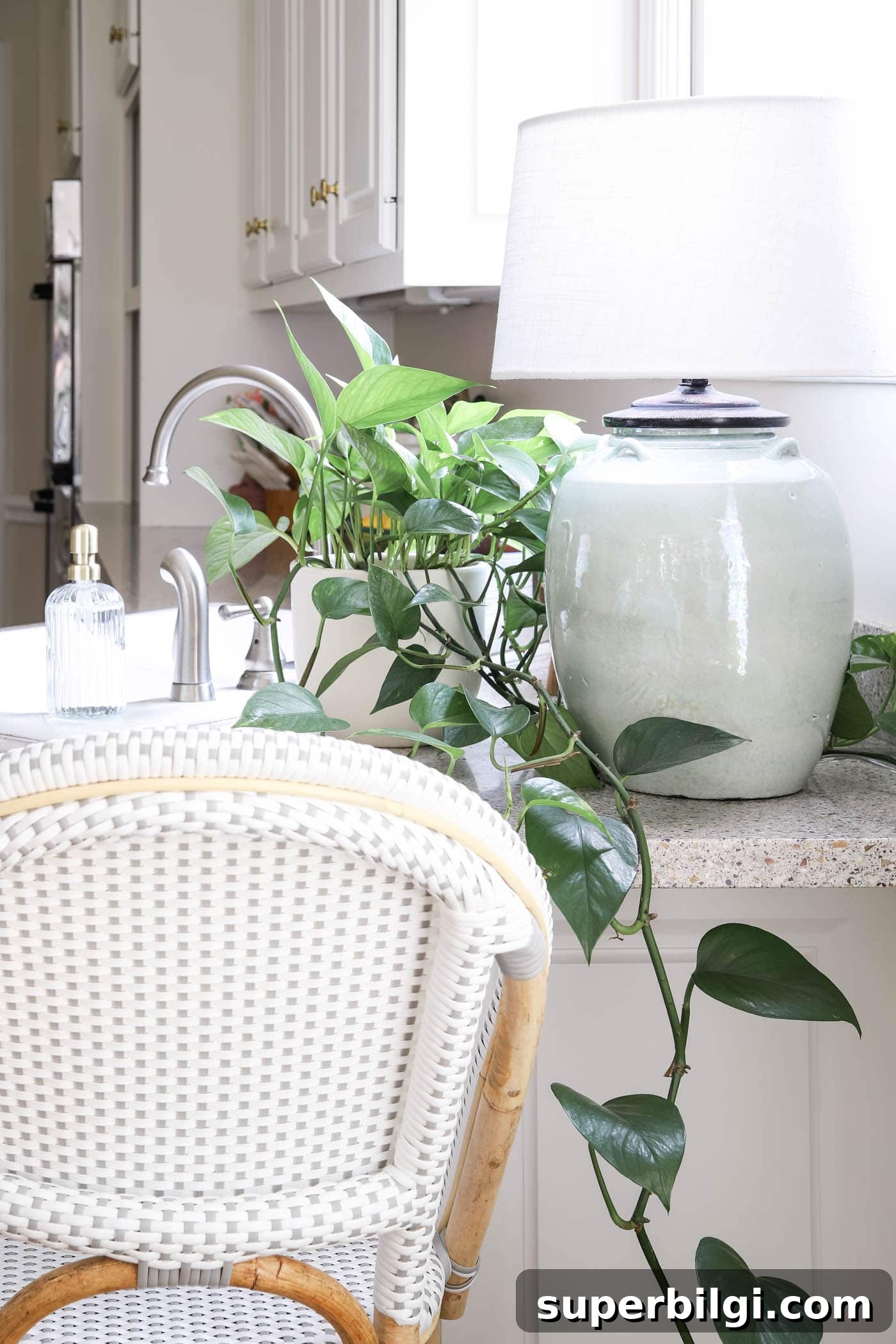 7 Kitchen Refresh Ideas That Transform Your Space 21 Marble Pothos In the Kitchen