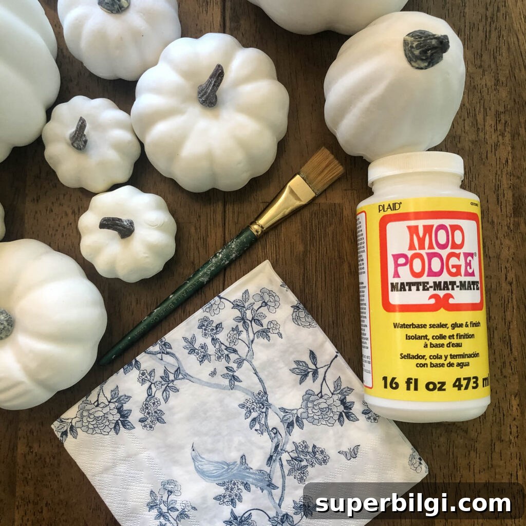 Make Chinoiserie Pumpkins: DIY Video Tutorial 3 Supplies for making DIY chinoiserie pumpkins