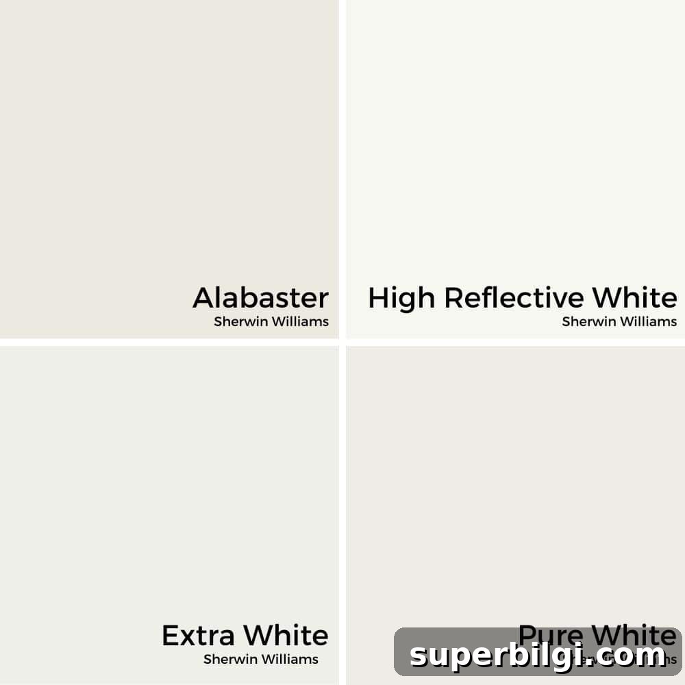Sherwin-Williams Alabaster: Paint Color Guide and Uses 3 Alabaster, Pure White, Extra White, High Reflective White