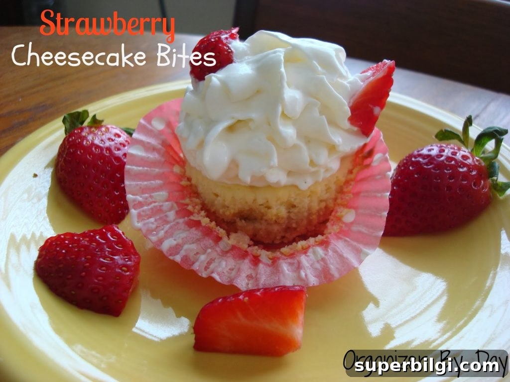 Strawberry Cheesecake Bites