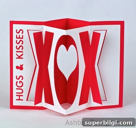 Accordion Valentine's Card