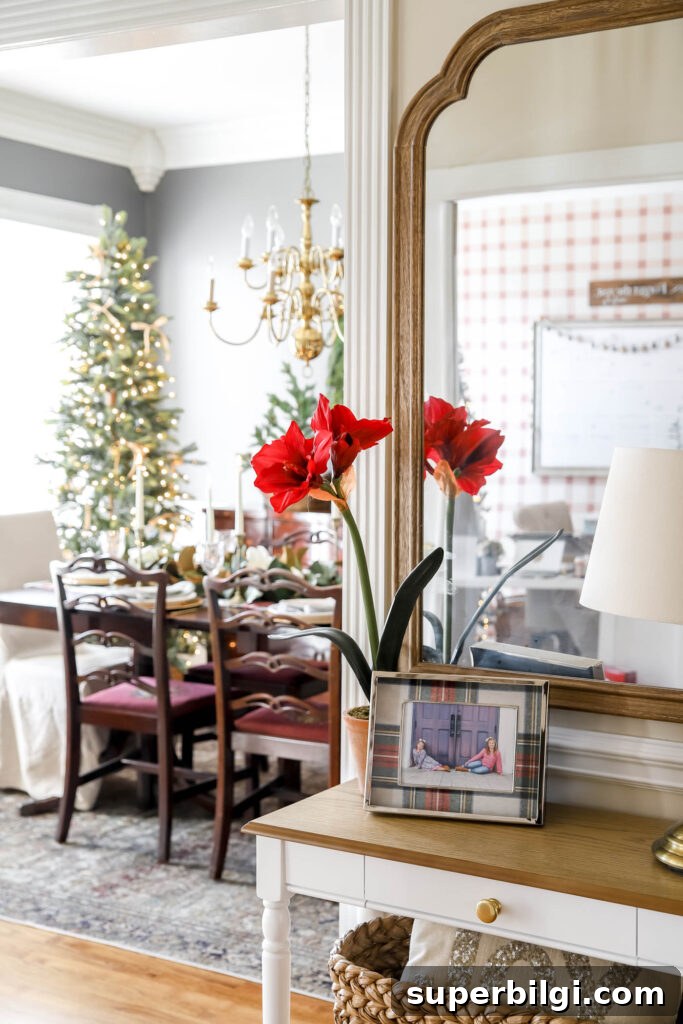 Plaid Holiday Home Decor and Accessories 4 Plaid Picture Frame in Foyer
