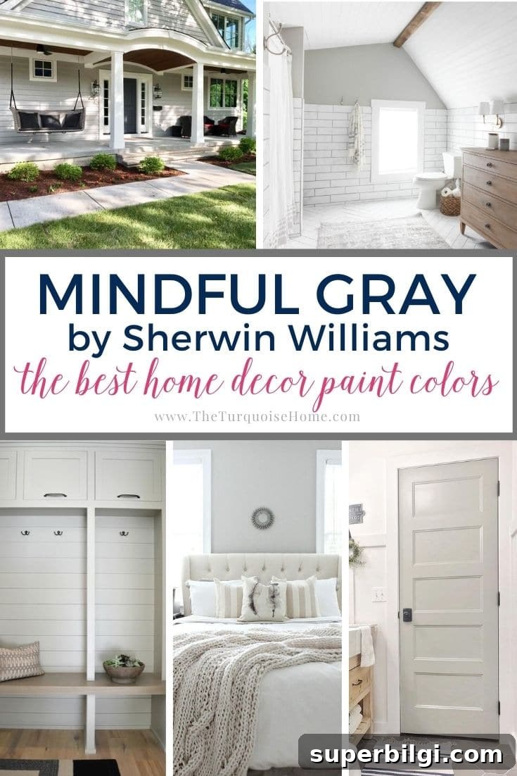 Most-Viewed Posts of 2021: Top Articles and Highlights 8 Mindful Gray Paint Color by Sherwin Williams
