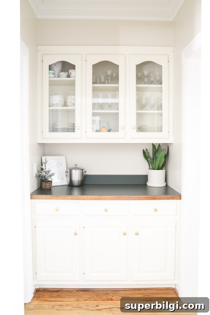 Home Goals 2022 Part 2: Stylish Renovation and Decor Ideas 4 A Butler's Pantry from the 90's
