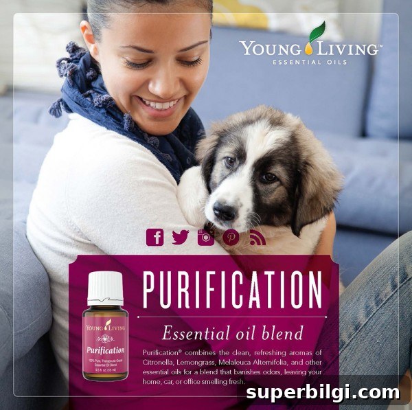 How I Went from Non-Recycler to Loving Essential Oils 3 Purification Essential Oil - gets the stink out! | TheTurquoiseHome.com