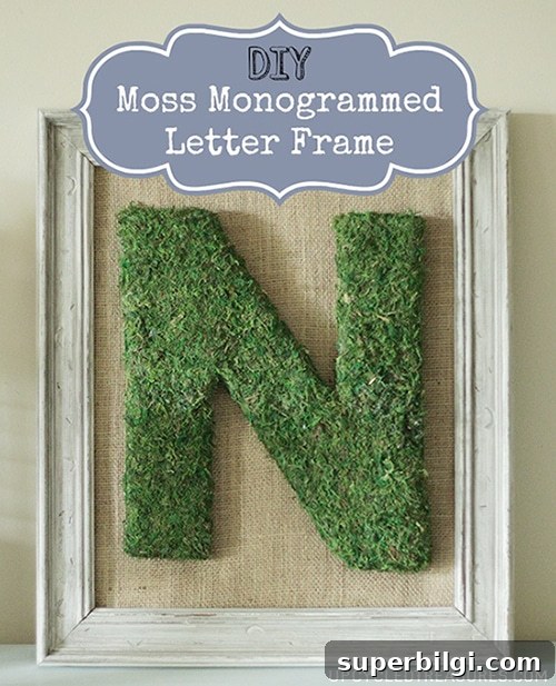 DIY Moss Monogrammed Letter Frame