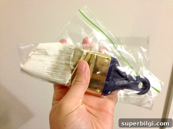 Wrap up a Paint Brush to Keep it Wet {and save $$}