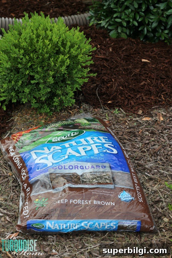 10 Quick Yard Makeover Ideas for Instant Curb Appeal 6 Mulch the front Flower Beds