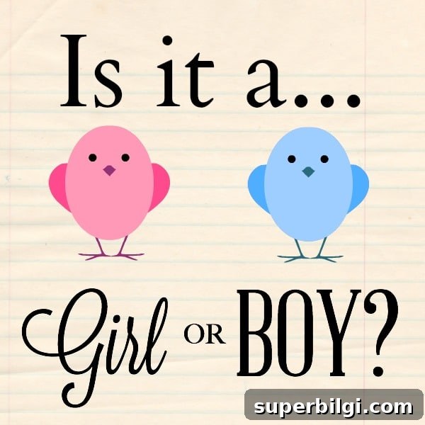 Is it a girl or boy? 