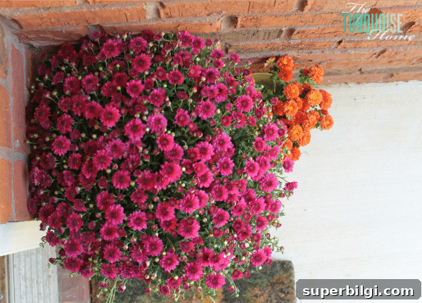Turquoise and Orange Fall Home Tour: Warm Autumn Decor Ideas 3 Turquoise and Orange Fall Home Tour | TheTurquoiseHome.com