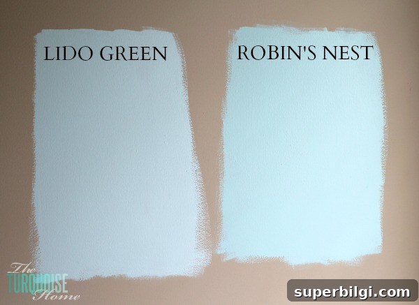 Benjamin Moore Lido Green and Robin's Nest | Baby Girl's Nursery | TheTurquoiseHome.com